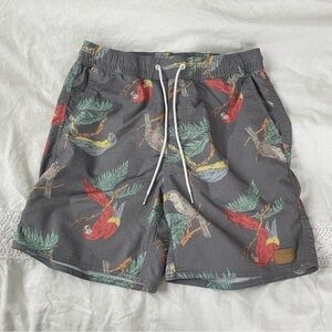 Brixton MEDIUM Board Shorts Bird Print Macaw Grey Red